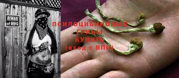 PSILOCYBIN Абинск