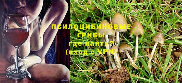 PSILOCYBIN Абинск