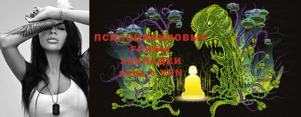 PSILOCYBIN Абинск