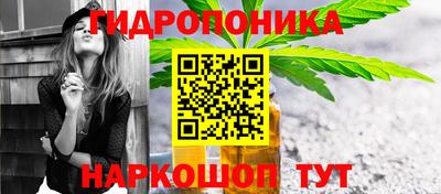 прущие крисы Краснознаменск