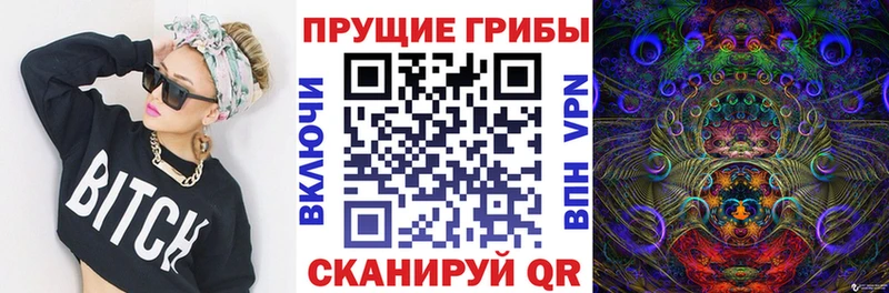 Галлюциногенные грибы Psilocybine cubensis  наркотики  Электросталь 