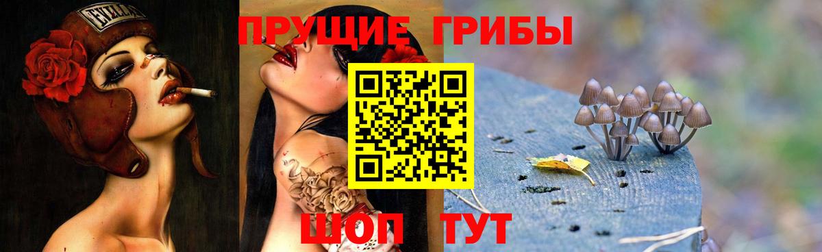 Галлюциногенные грибы MAGIC MUSHROOMS Электросталь